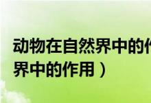 动物在自然界中的作用教学设计（动物在自然界中的作用）