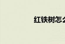 红铁树怎么养（红铁树）