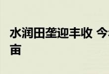 水润田垄迎丰收 今年我国累计灌溉面积超4亿亩