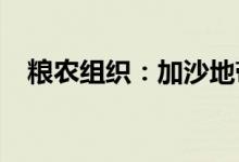 粮农组织：加沙地带面临大规模饥荒威胁