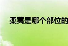 柔荑是哪个部位的肉（柔荑是哪个部位）