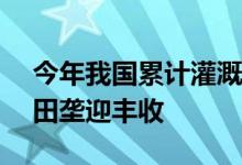 今年我国累计灌溉面积已超4亿亩—— 水润田垄迎丰收