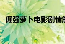 倔强萝卜电影剧情解析（倔强的萝卜电影）