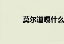 莫尔道嘎什么意思（莫尔道嘎）