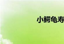 小鳄龟寿命（小鳄龟）