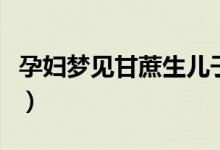 孕妇梦见甘蔗生儿子还是女儿（孕妇梦见甘蔗）