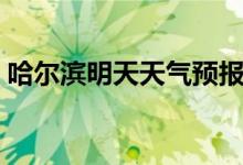 哈尔滨明天天气预报情况（哈尔滨明天天气）