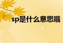 sp是什么意思哦（sp什么什么意思啊）