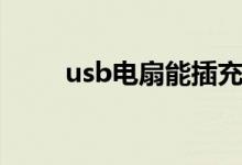 usb电扇能插充电宝吗（usb电扇）