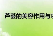 芦荟的美容作用与功效（芦荟的美容作用）
