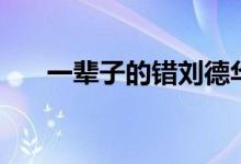 一辈子的错刘德华歌词（一辈子的错）