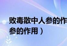 败毒散中人参的作用主要是( )（败毒散中人参的作用）