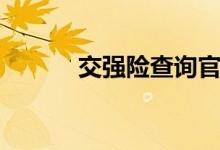 交强险查询官网（交强险查询）