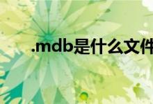.mdb是什么文件（mdb是什么文件）