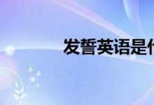 发誓英语是什么（发誓英语）