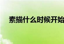 素描什么时候开始学比较好（素描学习）