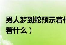 男人梦到蛇预示着什么怀孕（男人梦到蛇预示着什么）