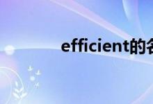 efficient的名词（efficient）