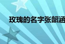 玫瑰的名字张韶涵张碧晨（玫瑰的名字）