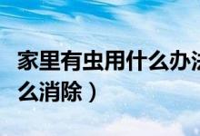 家里有虫用什么办法可以消除（家里有虫子怎么消除）