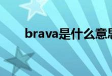 brava是什么意思（ava是什么意思）