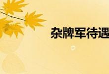 杂牌军待遇（无良杂牌军）