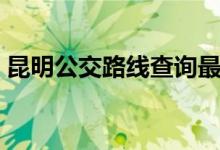 昆明公交路线查询最新（昆明公交路线查询）