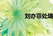 刘亦菲处境（刘亦菲死了）