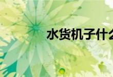 水货机子什么意思（水货机）
