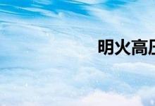 明火高压锅（明火）
