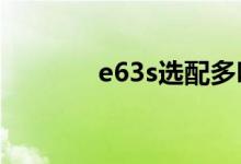 e63s选配多吗（e63怎么样）