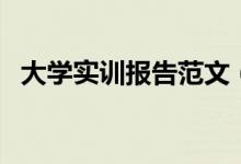 大学实训报告范文（大学实训报告怎么写）
