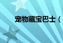 宠物藏宝巴士（qq宠物藏宝图盆景）