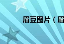 眉豆图片（眉豆孕妇可以吃吗）