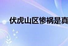 伏虎山区惨祸是真的吗（伏虎山区惨祸）