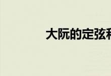 大阮的定弦和音位图（大阮）