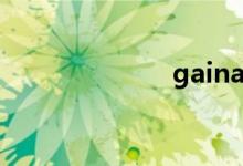 gainax（gain）