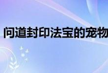 问道封印法宝的宠物怎么拿出来（问道封印）
