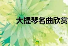大提琴名曲欣赏30首（大提琴名曲）