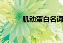 肌动蛋白名词解释(肌动蛋白)