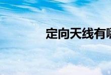 定向天线有哪些（定向天线）