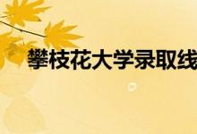 攀枝花大学录取线是多少（攀枝花大学）
