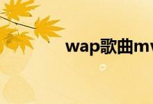 wap歌曲mv完整版（wap）