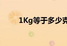 1Kg等于多少克（1kg等于多少n）