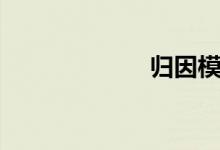 归因模式（归因）