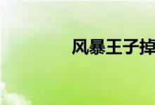 风暴王子掉落（风暴王子）