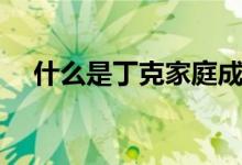 什么是丁克家庭成员（什么是丁克家庭）