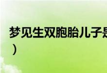 梦见生双胞胎儿子是什么预兆（梦见生双胞胎）