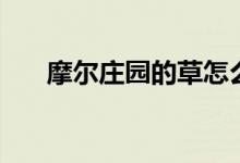摩尔庄园的草怎么得（摩尔庄园桑叶）