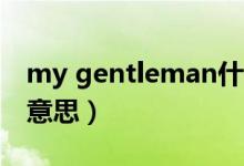 my gentleman什么意思（gentleman什么意思）